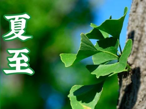 油煙凈化器，油煙凈化設(shè)備，油煙凈化機(jī)